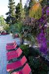The Orangers Beach Resort 